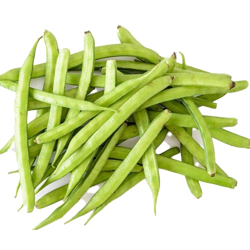 CLUSTER BEANS / ગુવાર સિંગ