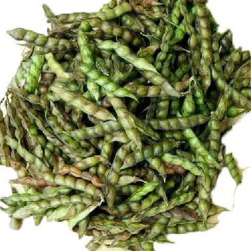 PIGEON PEA (TUVER) / લીલી તૂવેર