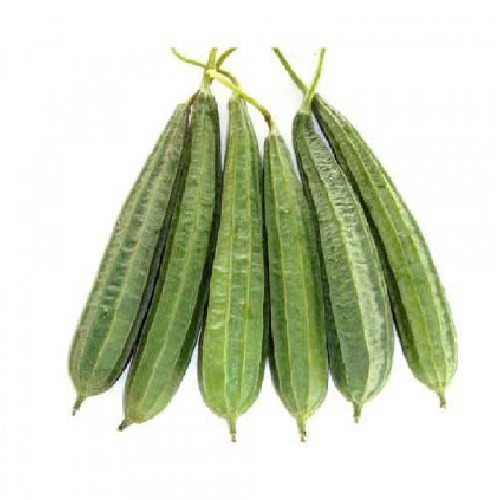 RIDGE GOURD (TURIYA) / તુરીયા