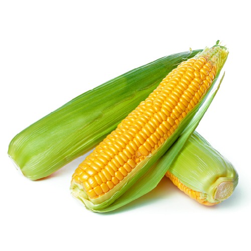 SWEET CORN / મક્કાઈ