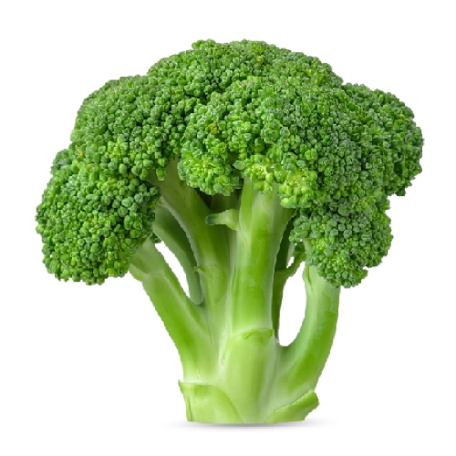 BROCCOLI / બ્રોકોલી