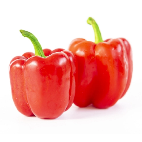 CAPSICUM (RED) / શિમલા મરચા (લાલ)