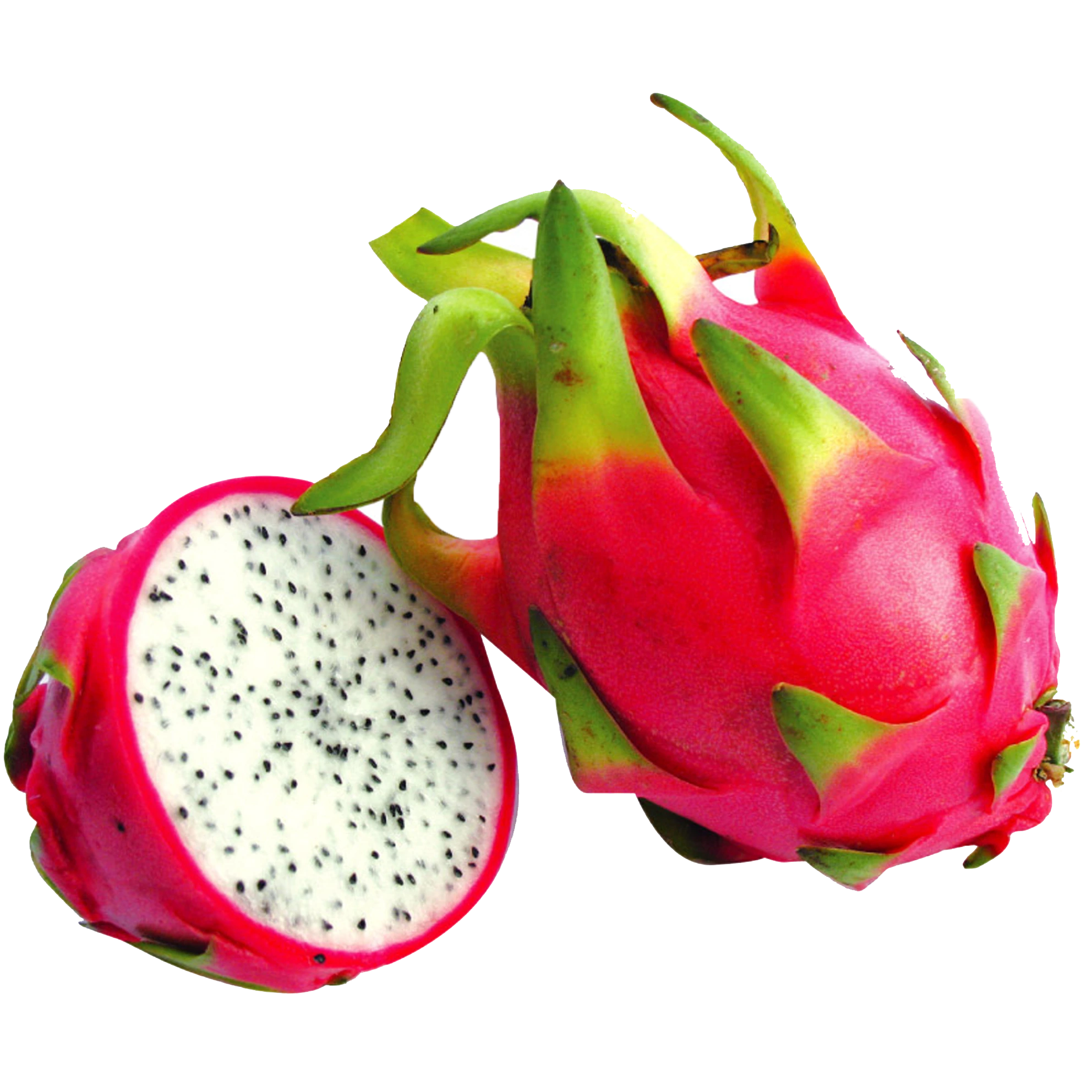 DRAGON FRUIT