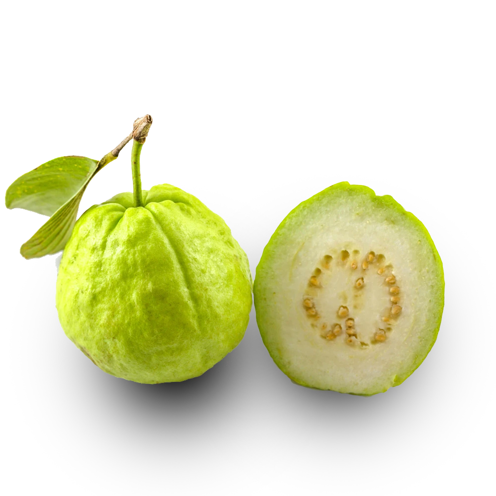 GUAVA / જામફળ