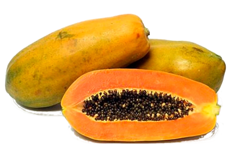 PAPAYA / પપૈયા